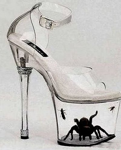 Zapatos con arañas e insectos